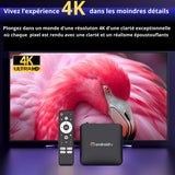 Box Android 4K ( NETFLIX , YOUTUBE , IPTV, plus de 3000 applications gratuite)